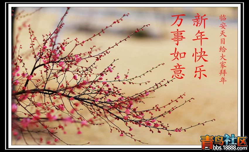 梅花迎春2_副本1_副本.jpg