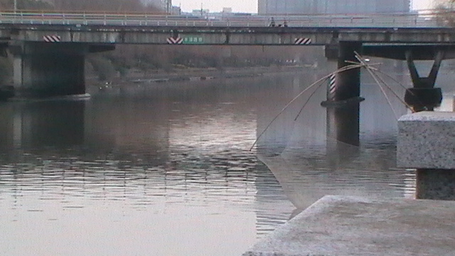 S1550017.JPG