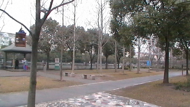 S1550002.JPG