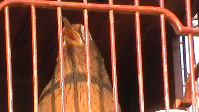 S1580031.JPG