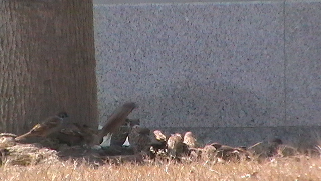 S1640002.JPG