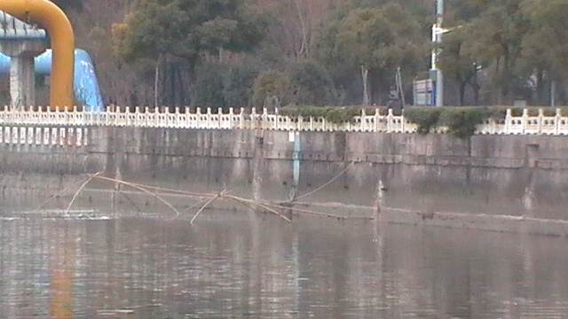 S1590009.JPG
