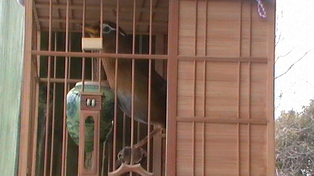 S1550029.JPG