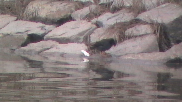 S1590004.JPG