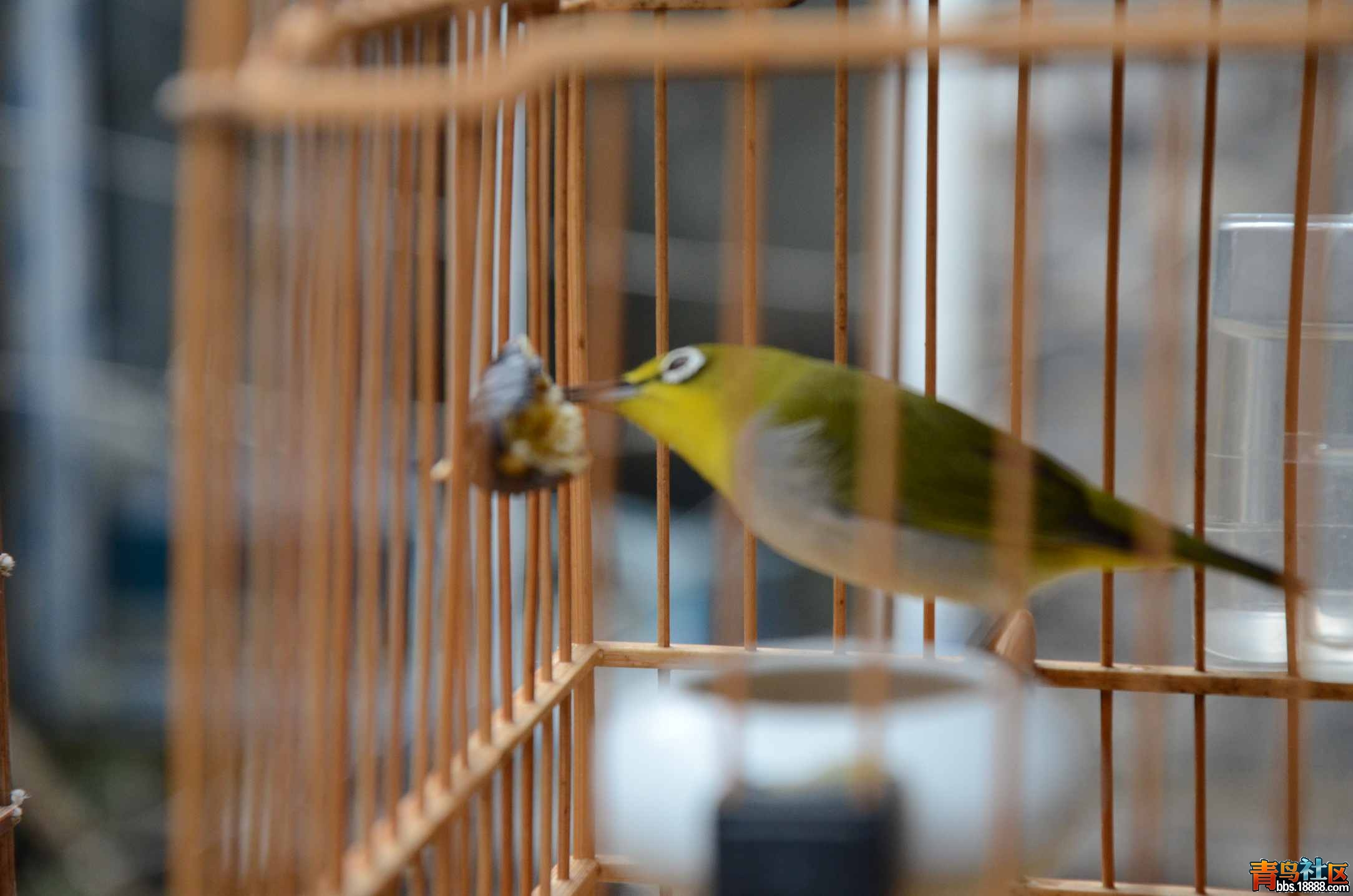 DSC_2931_副本.jpg