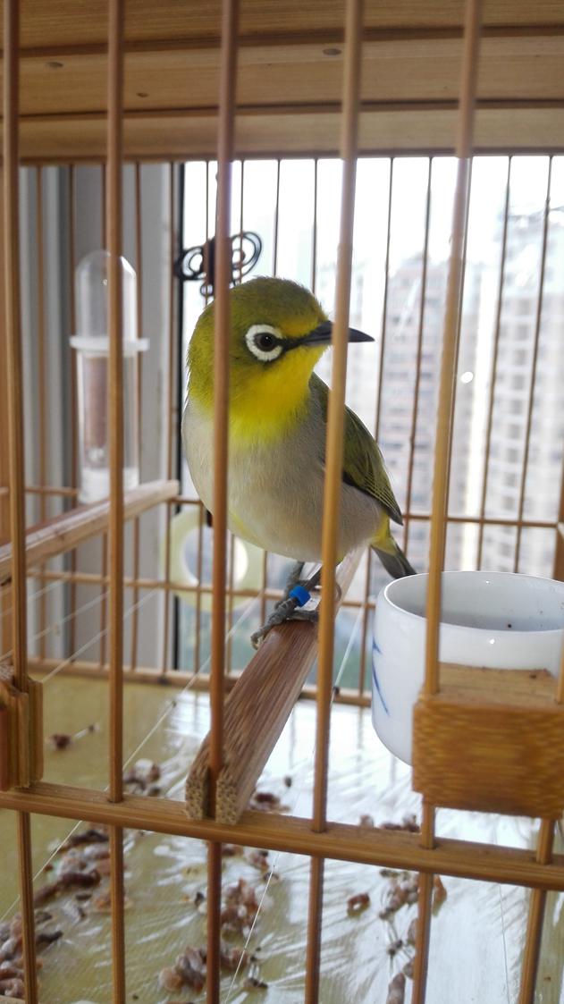 IMG_20160226_130846_副本.jpg