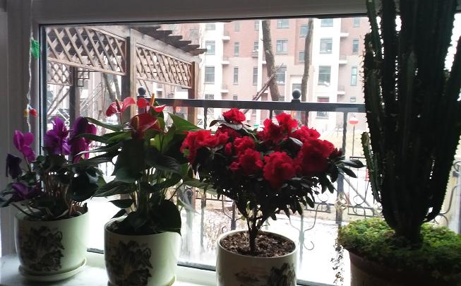 IMG_20160213_083359.jpg