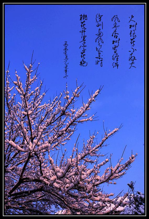 IMG_6332_副本a_副本a.jpg