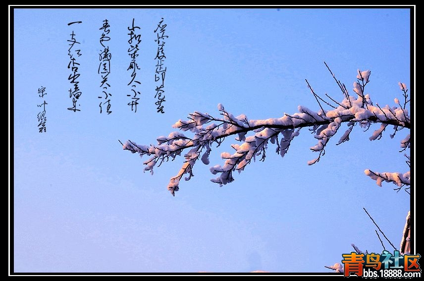 IMG_6334_副本aa_副本a.jpg