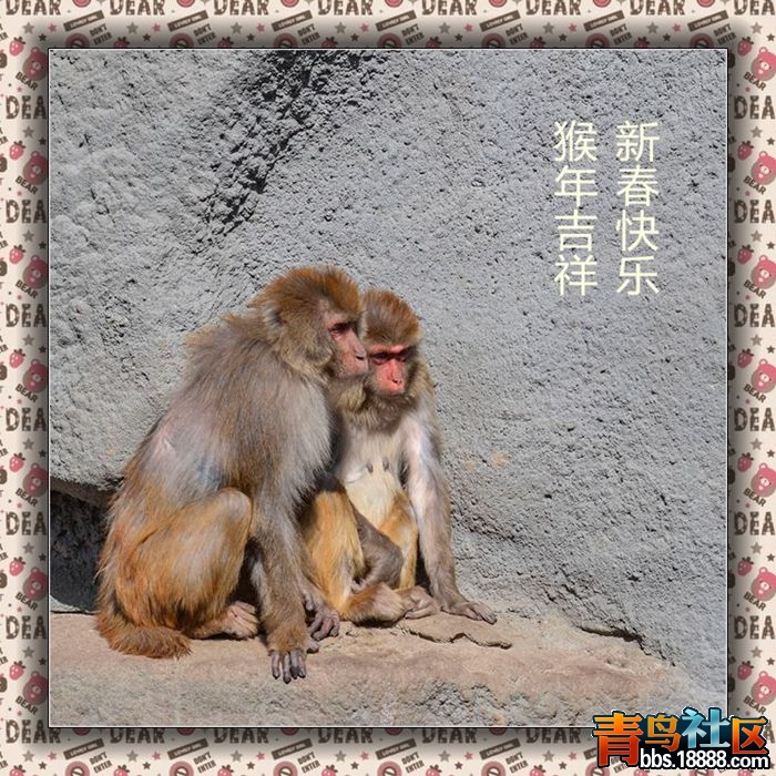 猴年吉祥_副本.jpg