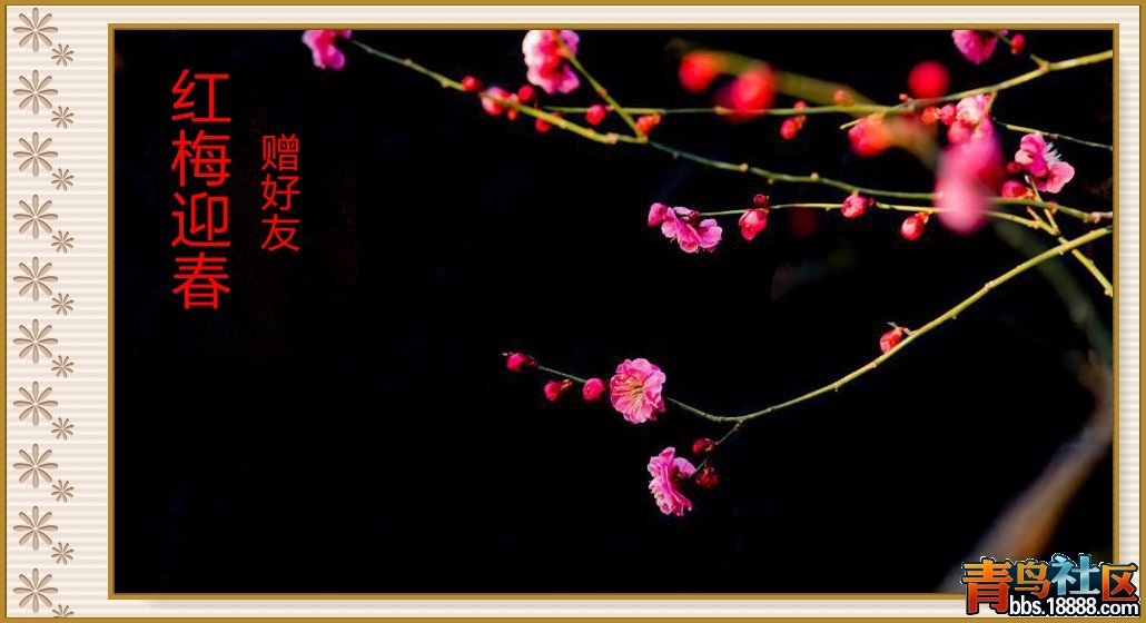 梅30_副本赠好友_副本.jpg