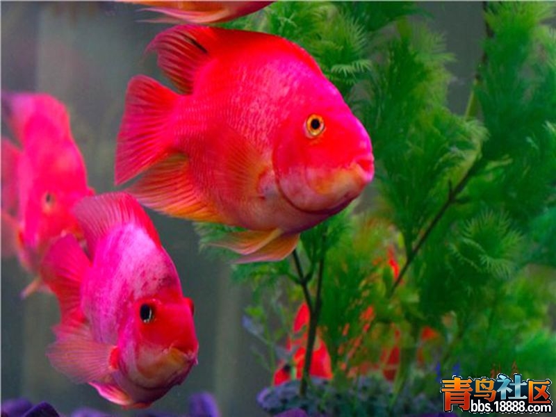 9_副本.jpg