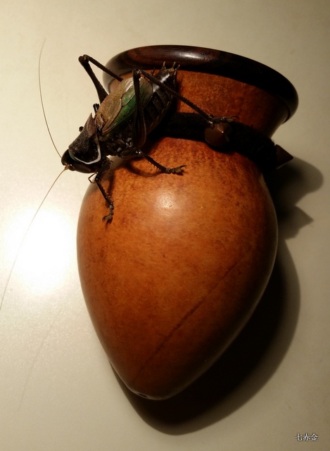 20160212_203316.jpg
