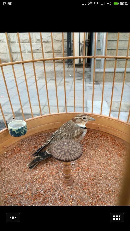QQ图片20160204184020.jpg