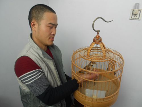 DSCN2464_副本.jpg