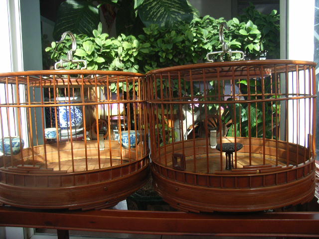 RIMG0001.JPG