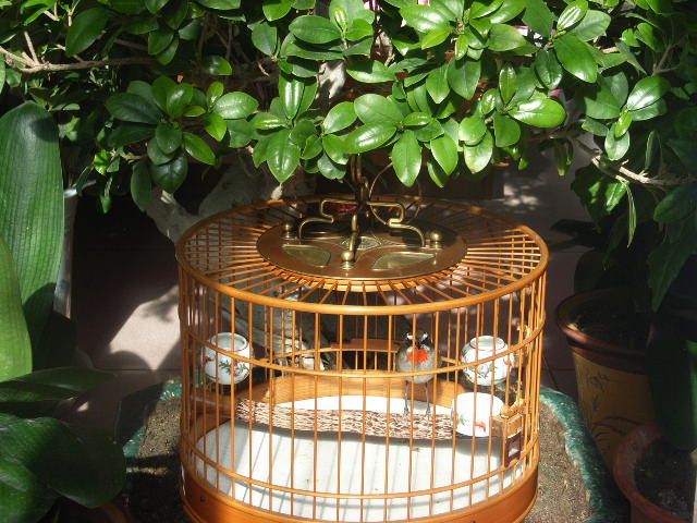 RIMG0148.JPG