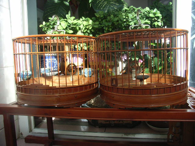 RIMG0003.JPG