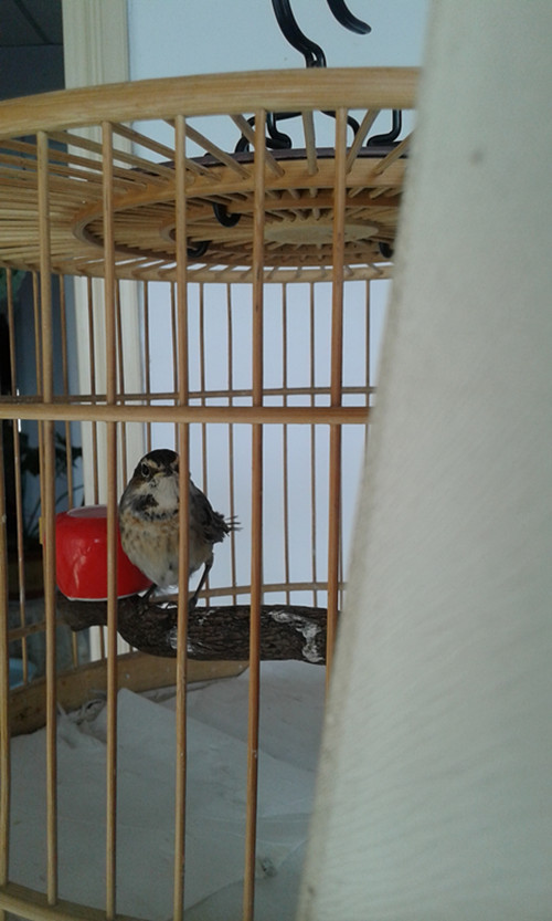 20160223_094501_副本.jpg