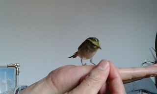 20160213_123036.jpg