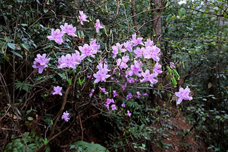 IMG_1617_副本.jpg