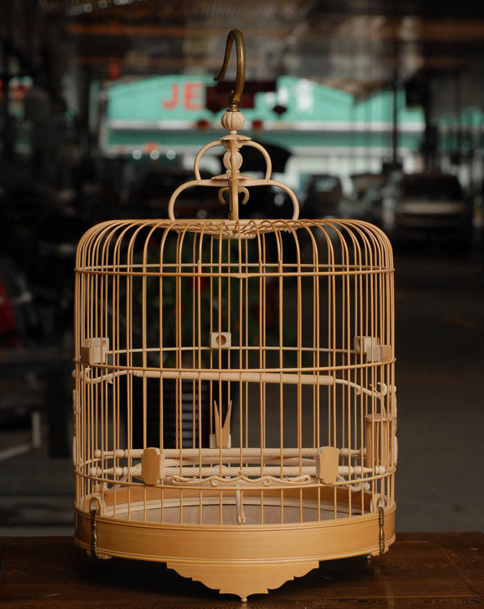 DSC_0001.JPG