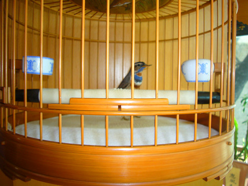 P1080581_副本.jpg