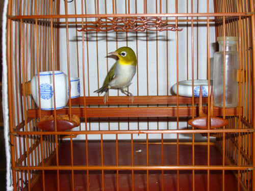 P1080387_副本.jpg