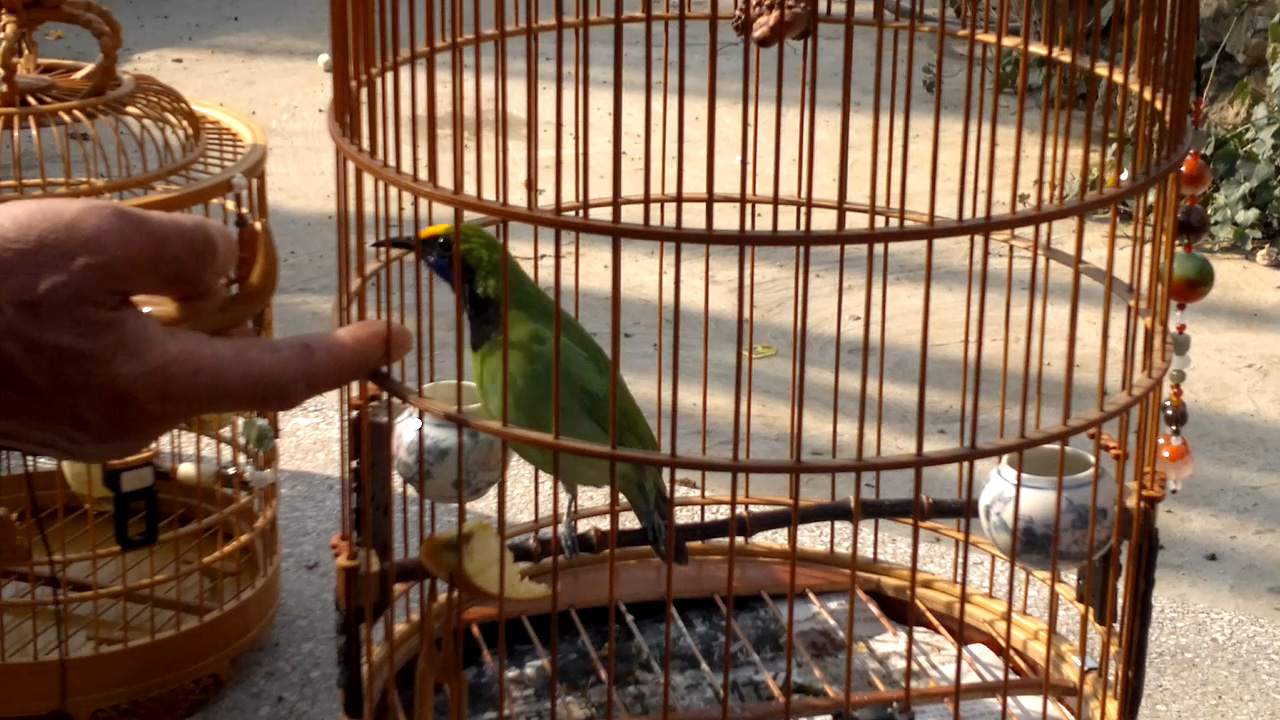 20160306168.mp4_20160326_211555.078_副本.jpg