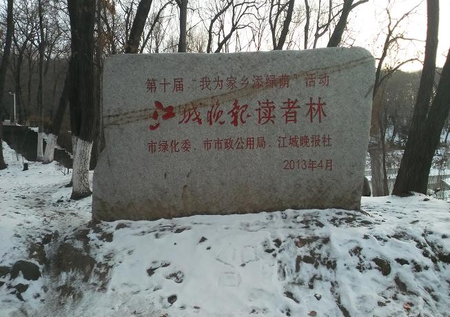 龙8.JPG