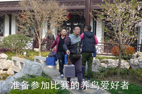 鸟会图片压缩12.jpg