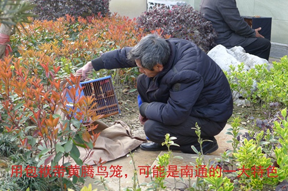鸟会图片压缩15.jpg