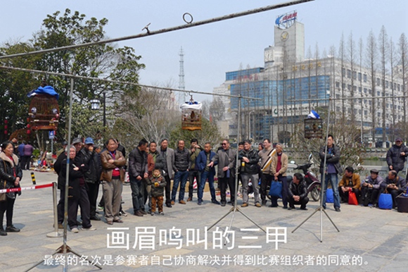 鸟会图片压缩57.jpg