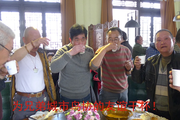 鸟会图片压缩64.jpg