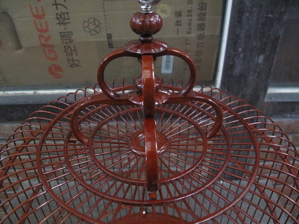 IMG_3735_调整大小.JPG