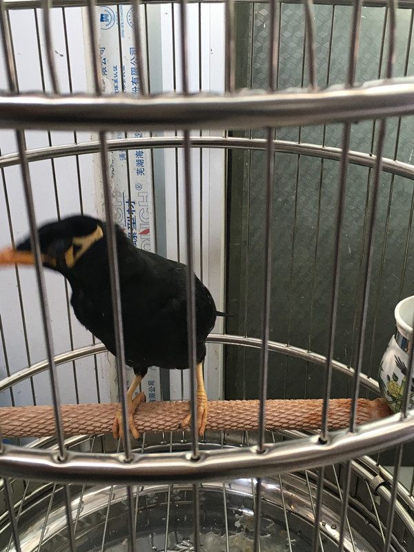 苹果手机1照片200160305IMG_0078_副本.jpg