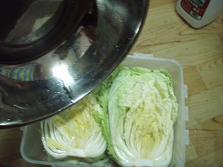 005.JPG