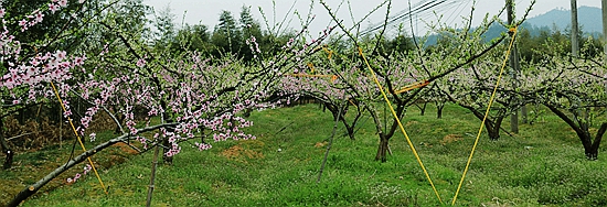 IMG_0259_副本.jpg