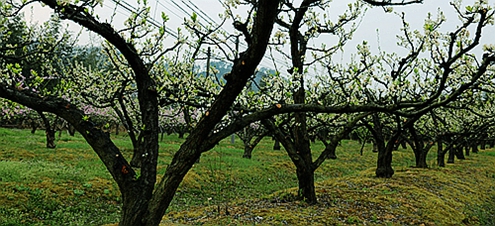 IMG_0254_副本.jpg