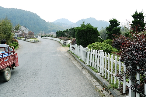 IMG_0393_副本.jpg