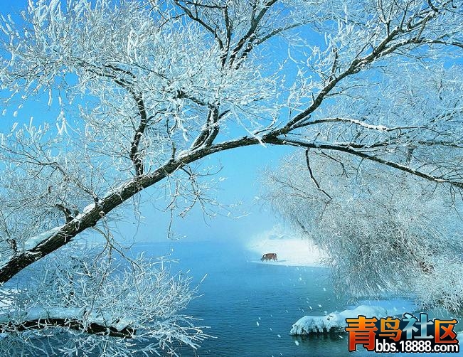 赏38.JPG