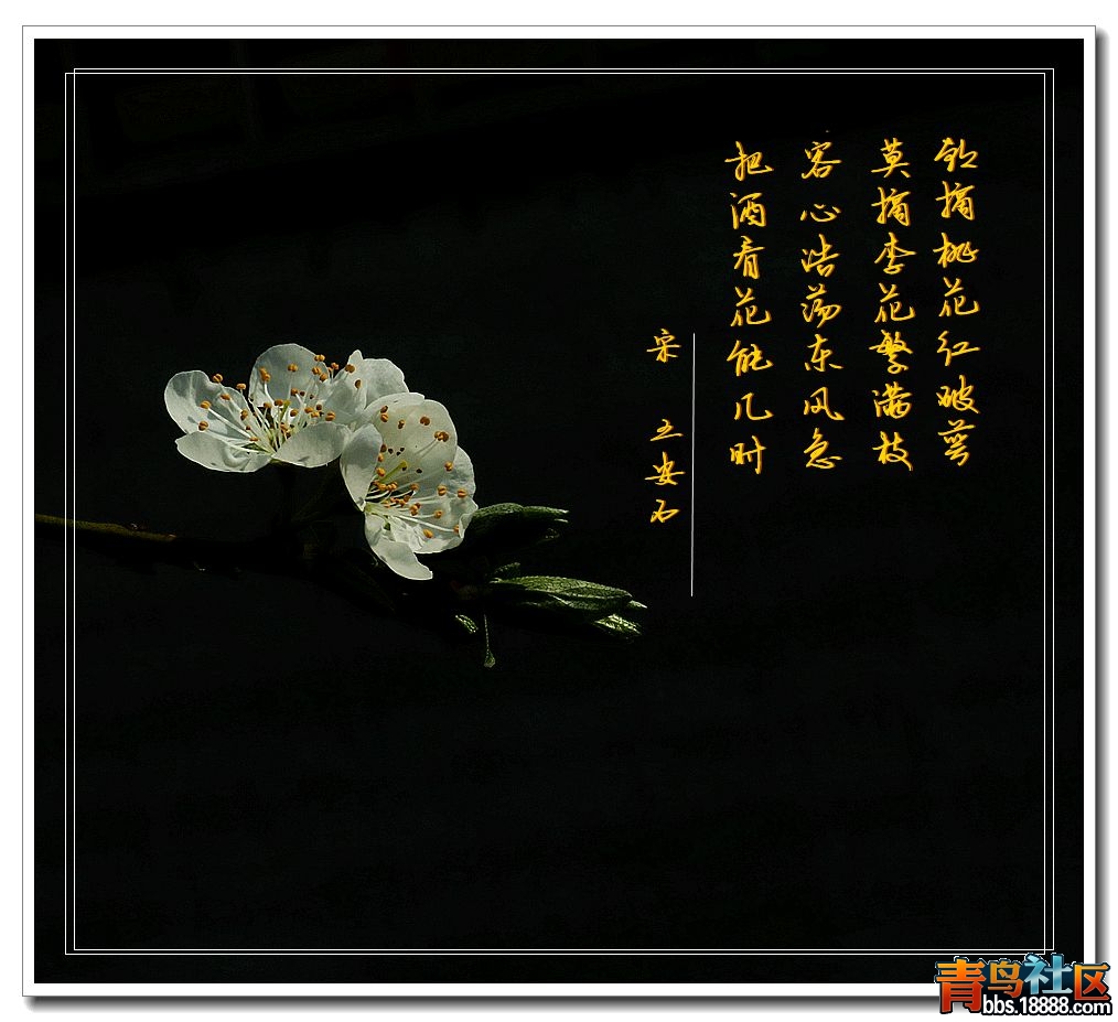 IMG_8950_副本书_副本王安石.jpg