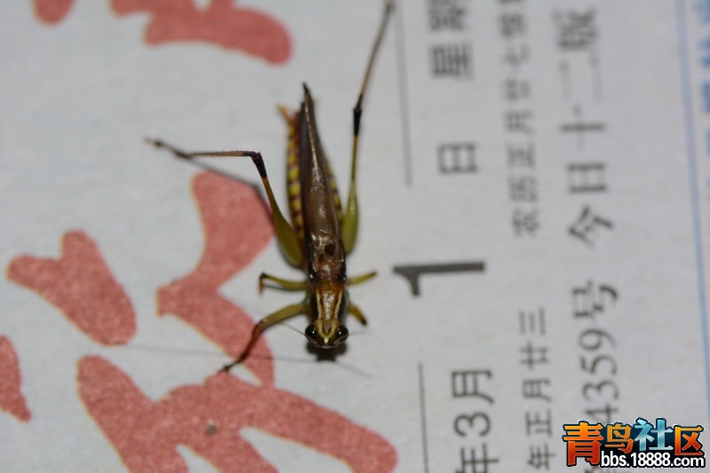DSC_4374_缩小大小.JPG