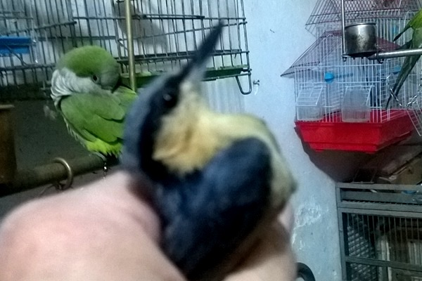 WP_20160427_006.jpg