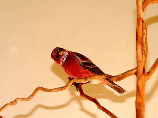 DSCN1005.JPG