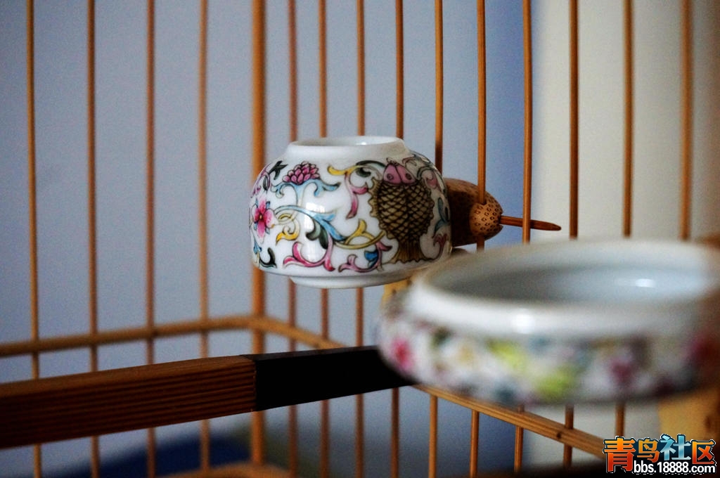 DSC01844_副本.jpg