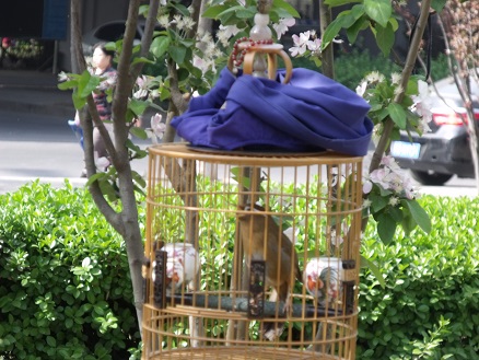 DSCF6153.JPG