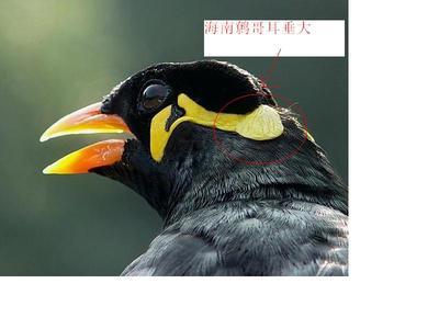 t015f131c2cec2d8cbf.jpg