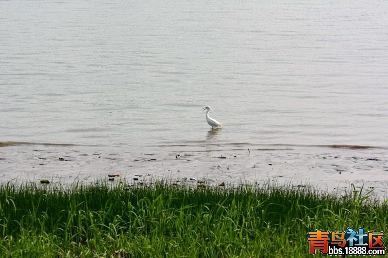 DSC_4772_缩小大小_副本.jpg