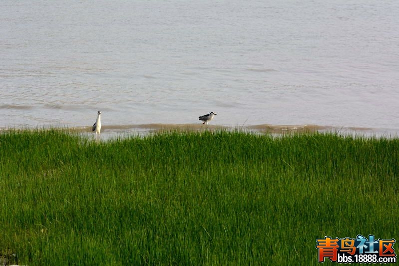 DSC_4807_缩小大小_副本.jpg